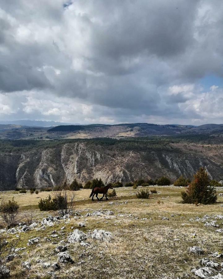Готель Etno Domacinstvo Saponjic Нова-Варош Екстер'єр фото